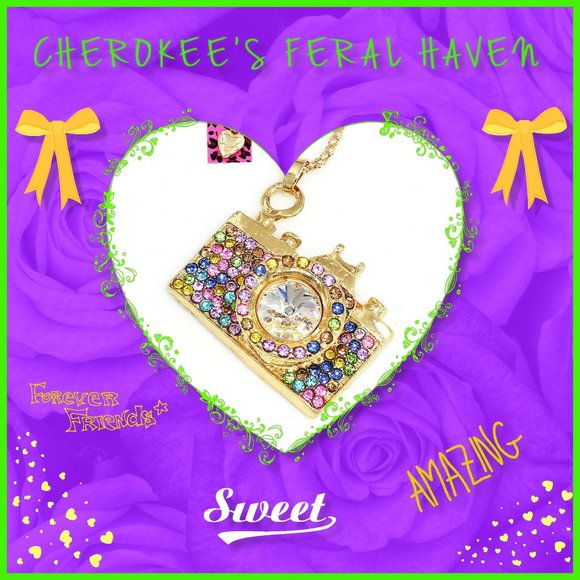 📷 Crystal Rhinestone Camera Chain Necklace📸 - Picture 3 of 11